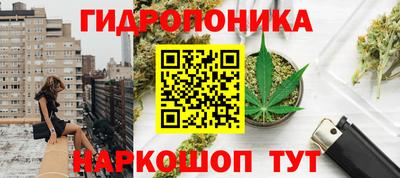 СК Кинель
