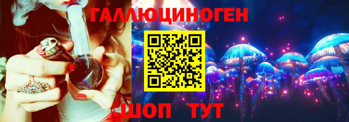 Альфа ПВП Кыштым