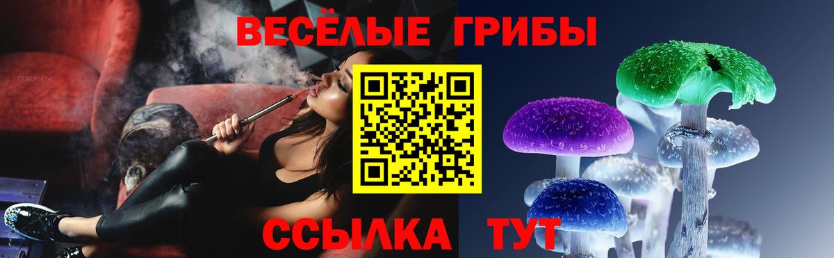 Псилоцибиновые грибы мицелий  Вход с VPN  Кыштым 